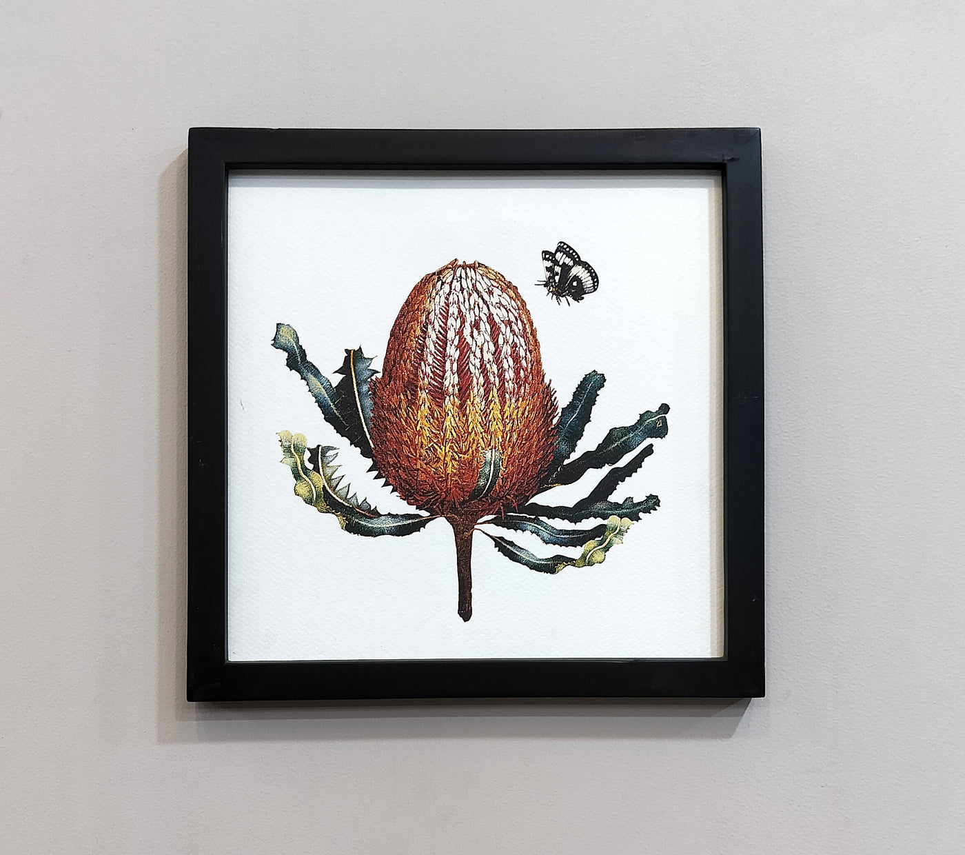 Banksia wall art