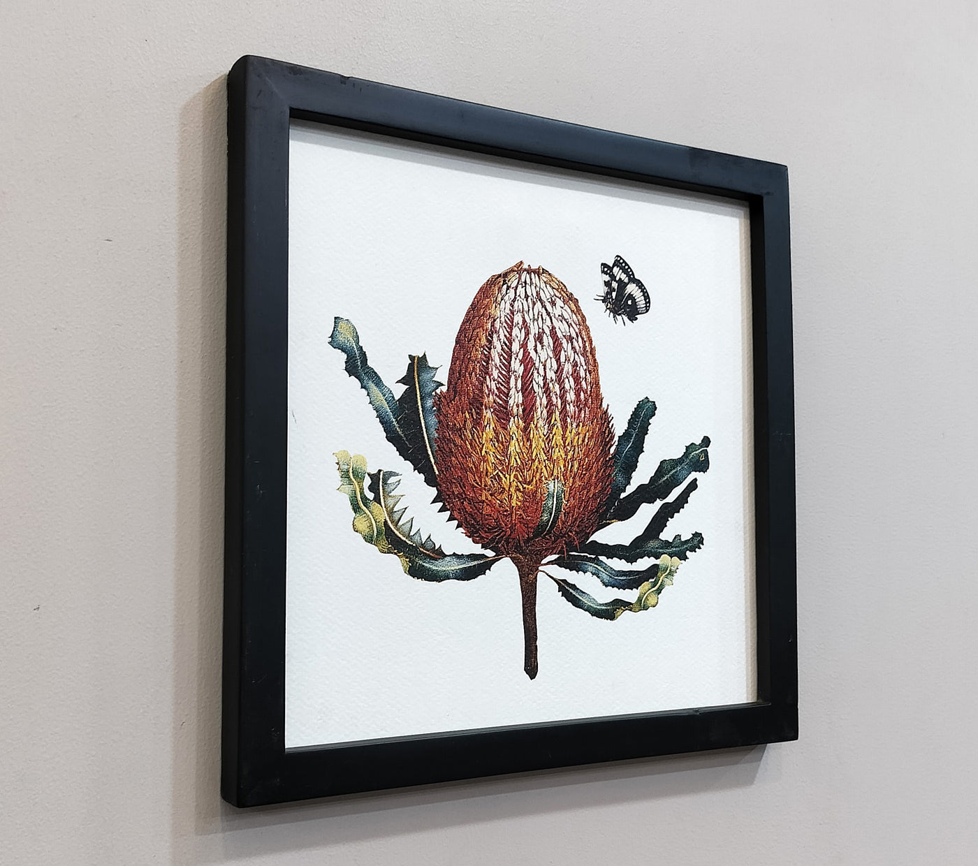 Banksia wall art